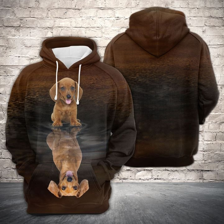 Cute Dachshund Reflection 3D All Over Print Hoodie & Zip Hoodie