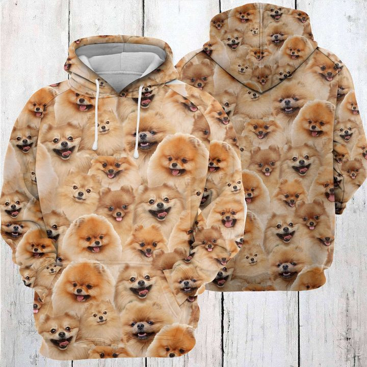 Pomeranian Awesome 3D All Over Print Hoodie & Zip Hoodie