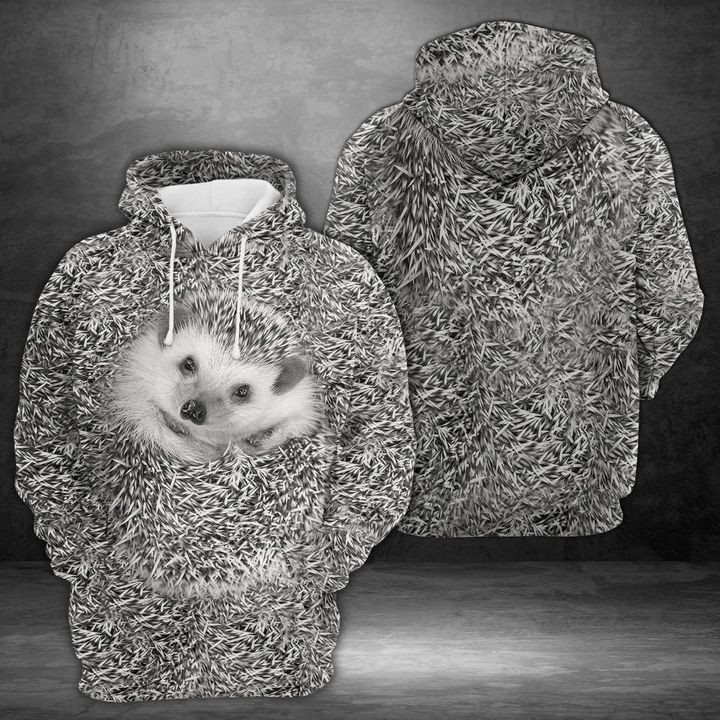 Hedgehog 3D All Over Print Hoodie & Zip Hoodie